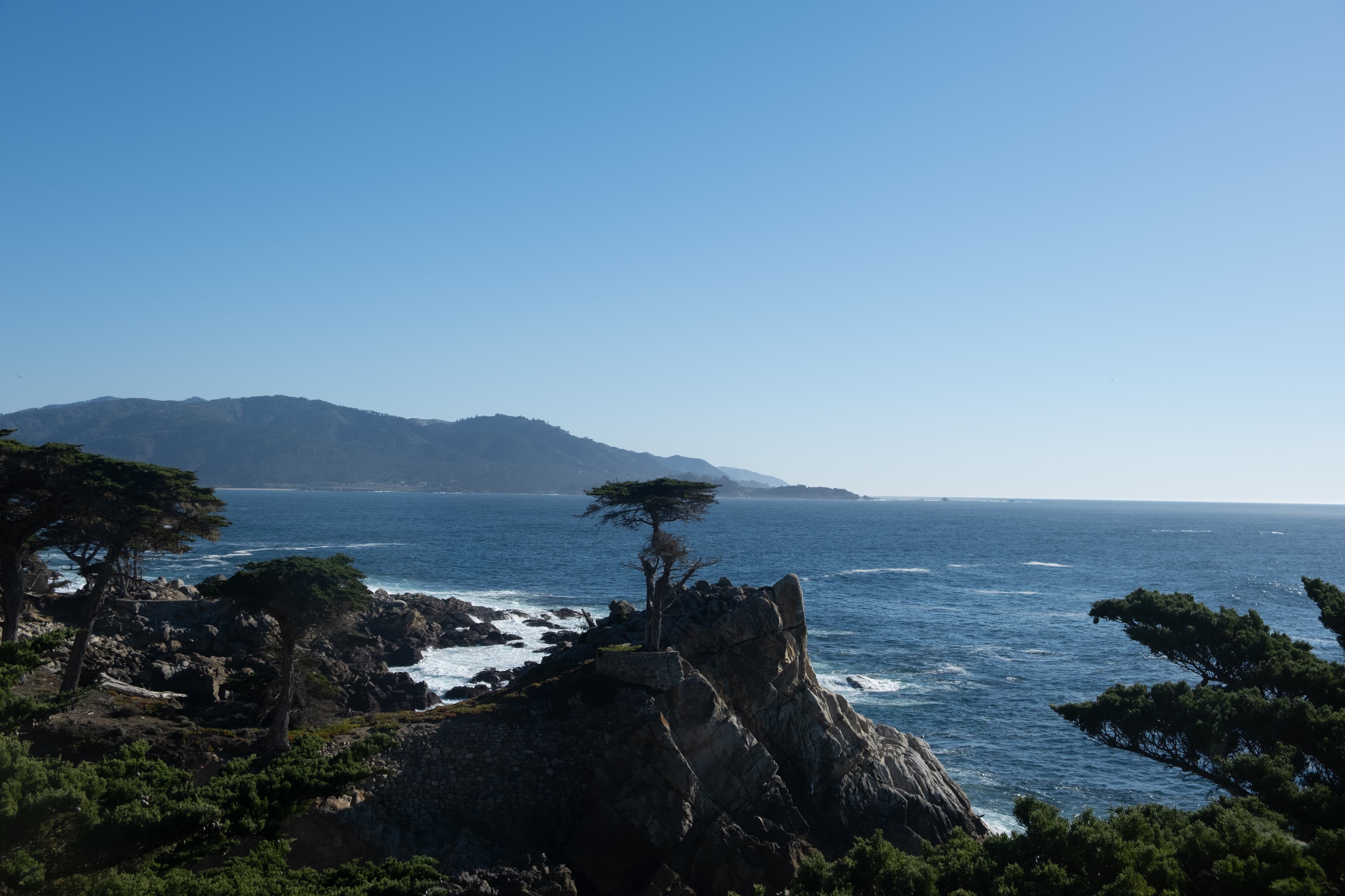 The Lone Cypress on a rocky outcrop at 17-Mile Drive